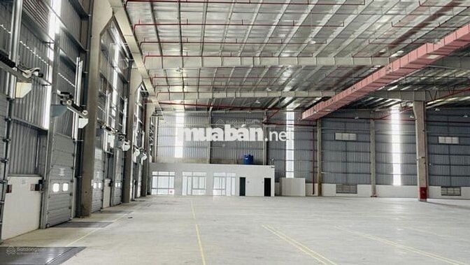 CHO THUÊ KHO, XƯỞNG LỚN TỪ 2.500M² – 8.000M² TRONG KCN, GIÁ TỪ 50.000K