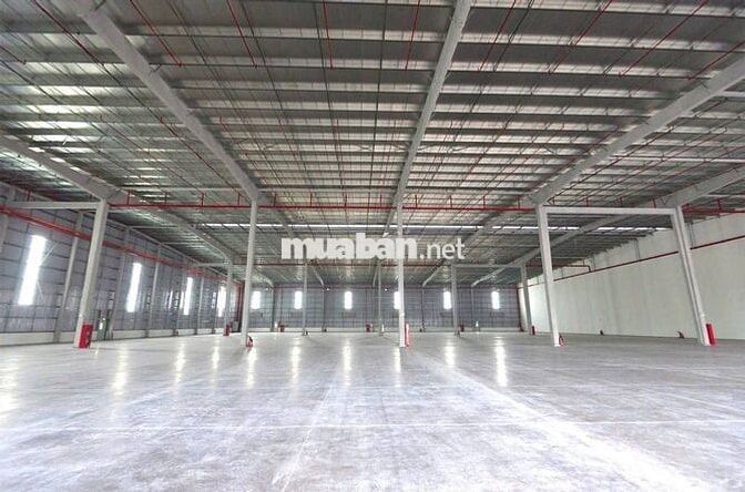 CHO THUÊ KHO, XƯỞNG LỚN TỪ 2.500M² – 8.000M² TRONG KCN, GIÁ TỪ 50.000K