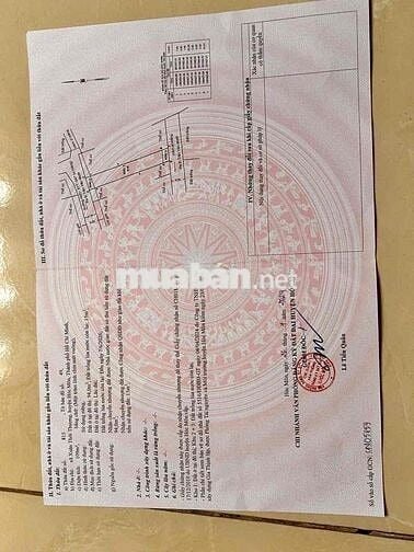 🍀MỨC GIÁ 3.5 TỶ CHO LÔ ĐẤT 2 MẶT TIỀN – ẤP 3, XÃ BÀ ĐIỂM – TP HCM