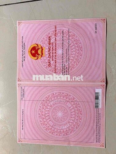 🍀MỨC GIÁ 3.5 TỶ CHO LÔ ĐẤT 2 MẶT TIỀN – ẤP 3, XÃ BÀ ĐIỂM – TP HCM