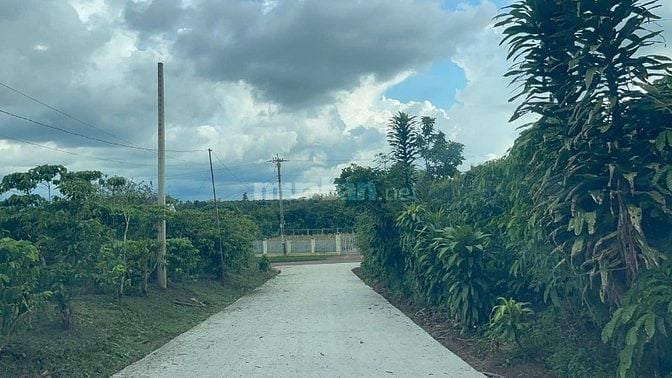 ĐẤT LỘC AN LÂM ĐỒNG SỔ NHỎ ĐÃ CÓ THỔ CƯ TIẾP GIÁP HỒ