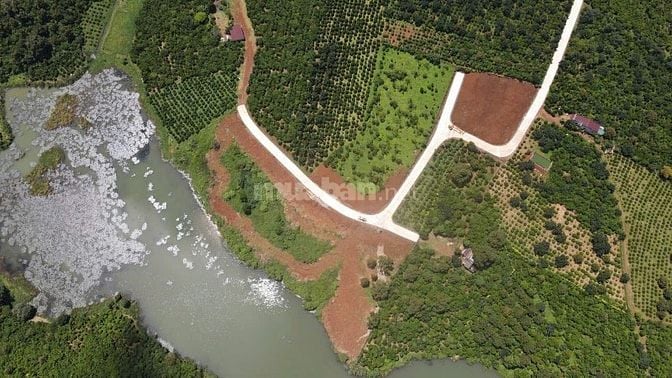 ĐẤT LỘC AN LÂM ĐỒNG SỔ NHỎ ĐÃ CÓ THỔ CƯ TIẾP GIÁP HỒ