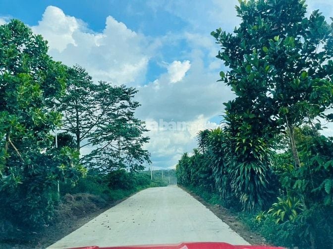 ĐẤT LỘC AN LÂM ĐỒNG SỔ NHỎ ĐÃ CÓ THỔ CƯ TIẾP GIÁP HỒ