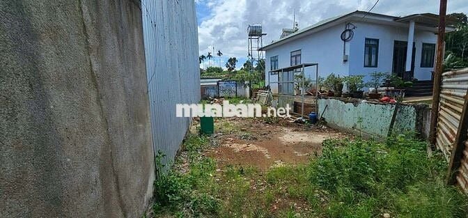 💢 Đất hẻm 354 Nguyễn Văn Cừ - Hẻm Cấp 1 - Phường Tân Lập!!!
💰💰.