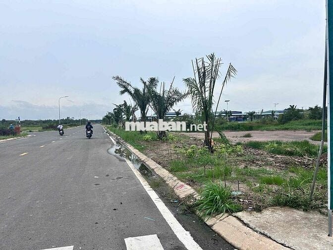 🔥 Giá chỉ 1 tỷ 356 – Đất ODT Chợ Đức Hòa – Gần TL10, Phạm Văn Hai – Xâ