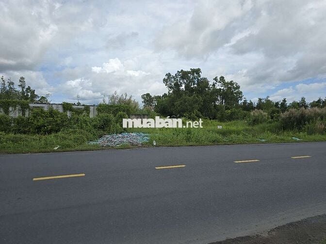 Cần bán đất quản lộ phụng hiệp