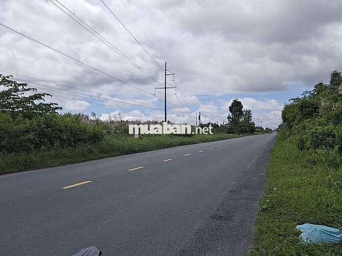 Cần bán đất quản lộ phụng hiệp