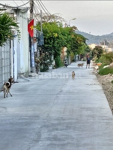 Bán 2 căn nhà tại Phố Lương Định Của, Chợ Chiều, Vĩnh Ngọc, Nha Trang