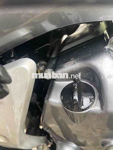 xe future fi 2009 zin