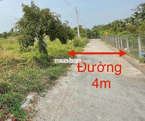 Thanh lý 159m2 (60m2 đất ở) tại Phường Tân An hẻm ô tô giá tốt