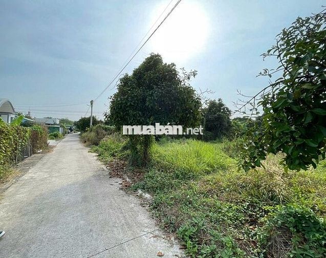 Thanh lý 159m2 (60m2 đất ở) tại Phường Tân An hẻm ô tô giá tốt