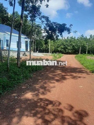 Chính chủ cần bán gấp lô đất thổ cư , đã có sổ , pháp lý rõ ràng