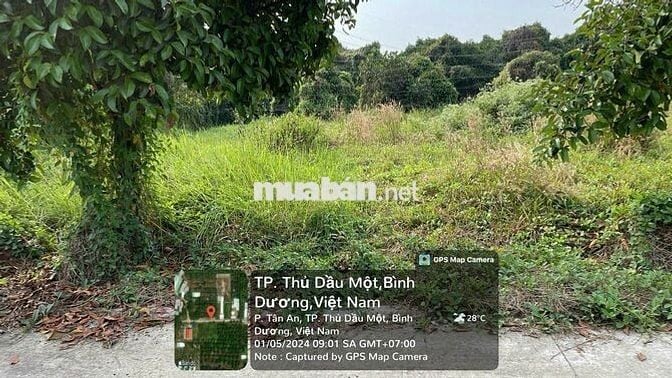 Thanh lý 159m2 (60m2 đất ở) tại Phường Tân An hẻm ô tô giá tốt