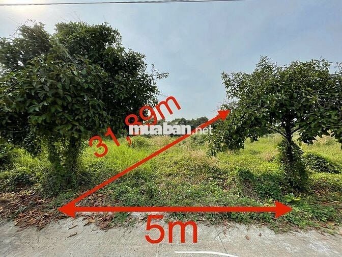 Thanh lý 159m2 (60m2 đất ở) tại Phường Tân An hẻm ô tô giá tốt