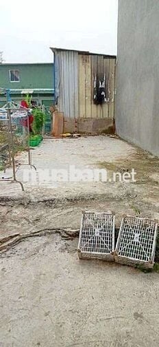 NHỈNH 2 TỶ  ĐẤT 35M SÁT MT HUỲNH TẤN PHÁT , GẦN KCX TÂN THUẬN, SHR