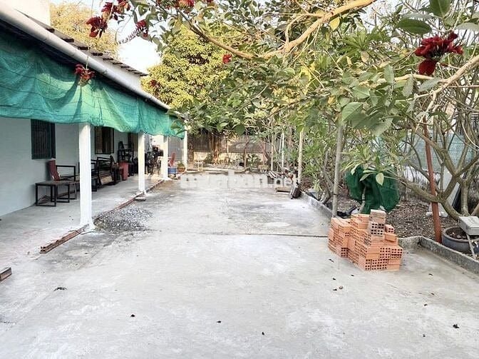 BÁN NHÀ VƯỜN 313m2 ĐẸP GIÁ RẺ – TỈNH LỘ 7, PHƯỚC THẠNH, CỦ CHI