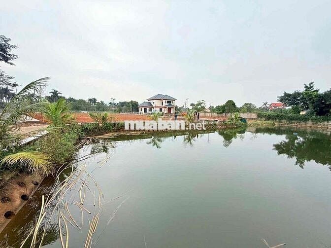 Đất chính chủ 588m2 quốc lộ 21 giá chỉ 45tr. rất mềm Đất chính chủ 588m2 quốc lộ 21 giá chỉ 45tr. rất mềm