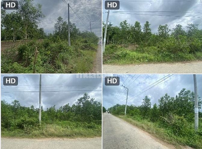 Bán đất tại xã Tân Minh và xã Suối Kiết, tỉnh Lâm Đồng 