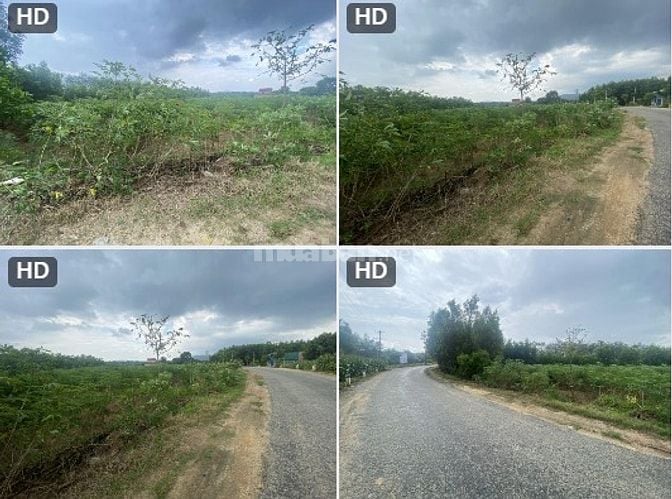 Bán đất tại xã Tân Minh và xã Suối Kiết, tỉnh Lâm Đồng 