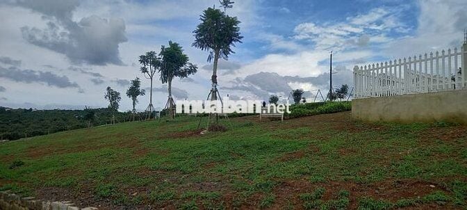 THANH LÝ GẤP LÔ ĐẤT GIA ĐÌNH TẠI DI LINH, MT QUỐC LỘ 20 DT 300M2/639TR