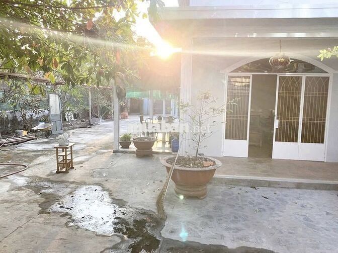 BÁN NHÀ VƯỜN 313m2 ĐẸP GIÁ RẺ – TỈNH LỘ 7, PHƯỚC THẠNH, CỦ CHI