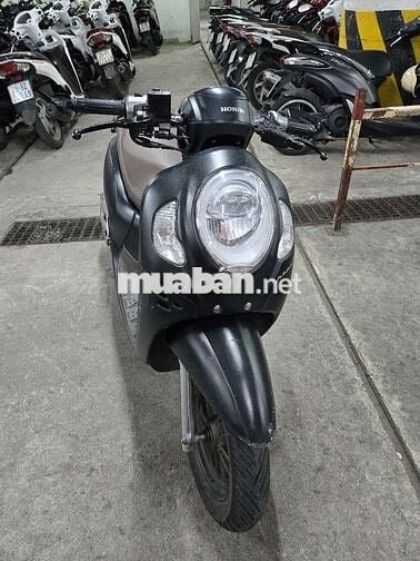 SCOOPY 2024 MÀU ĐEN YÊN NÂU
