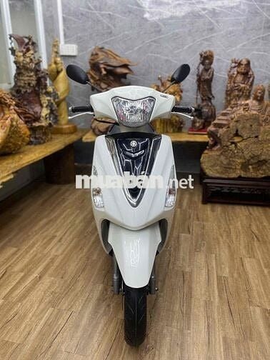 👉Acruzo chính chủ biển Tp  xe đẹp máy bao êm