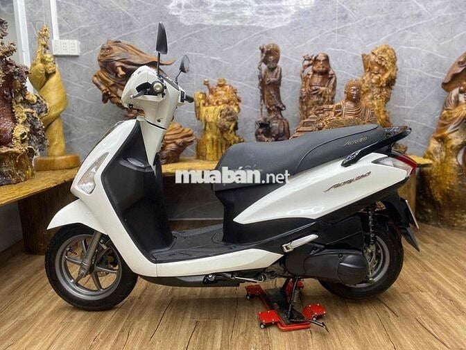 👉Acruzo chính chủ biển Tp  xe đẹp máy bao êm