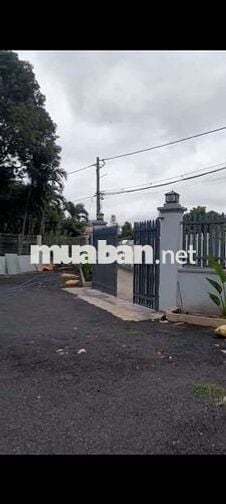 Cho thuê nhà vườn xuân thới sơn 420m2