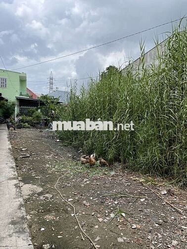 💥 Bán đất đẹp ngay Trung Tâm hành chính Nhà Bè , đường Nguyễn Bình