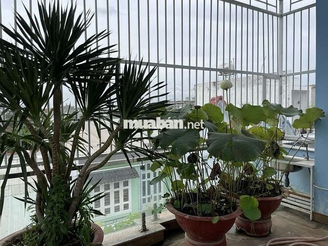 Bán nhà 4 phòng ngủ 73m2 ngay trung tâm Trầng Hưng Đạo Dĩ An giá 5,2t