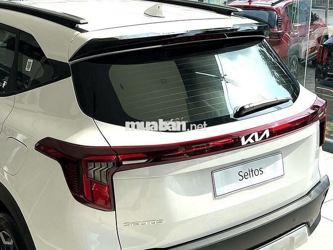 KIA SELTOS 1.5G SUV 5 chỗ giá chỉ từ 574tr