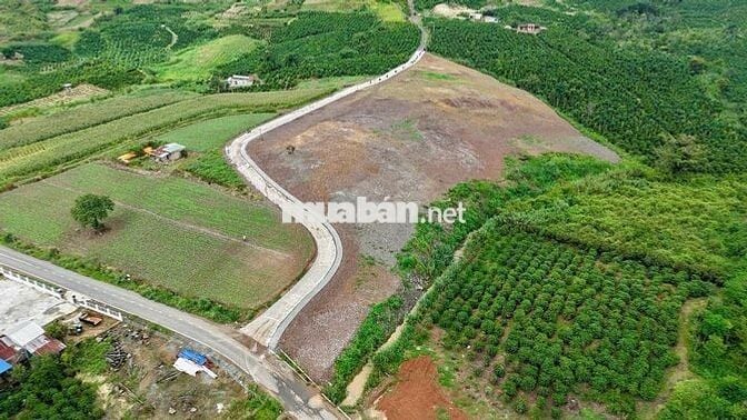 hot 1000m² đất nghỉ dưỡng ven Đà Lạt View đồi , giá chỉ 630 triệu