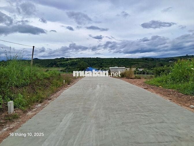 hot 1000m² đất nghỉ dưỡng ven Đà Lạt View đồi , giá chỉ 630 triệu