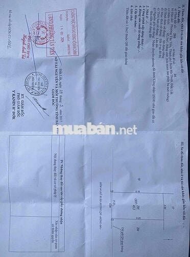 nhà hẻm đường nhựa 44 Hồ xuân hương - phường tân tiến củ - bmt