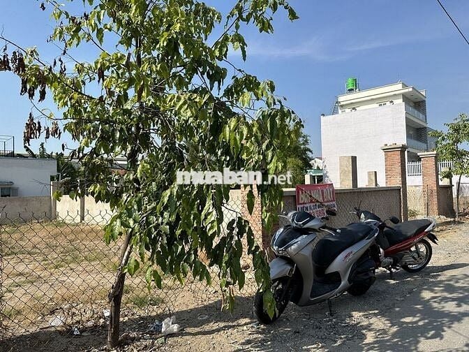 Đất sổ đỏ 263m2 đường Long Khê - Phước Vân