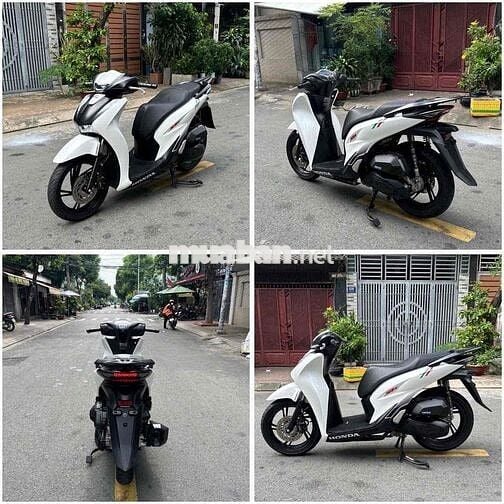 Sh125i [S]Italia - Trắng Sporty 2024