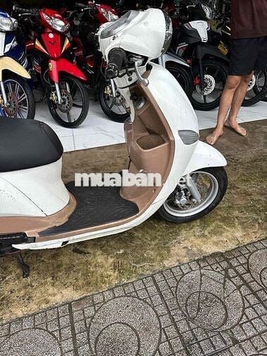 tay ga noza nhỏ gọn cho chị e