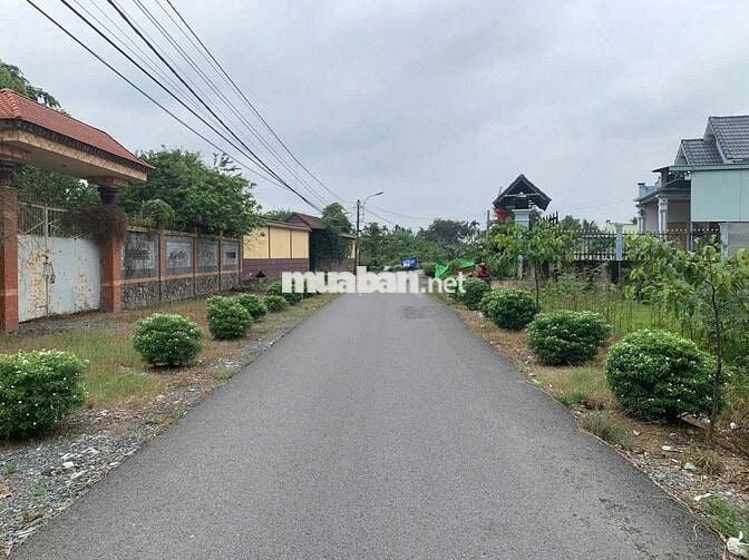 CẦN RA GẤP LÔ ĐẤT THỔ 146m2 XÃ TÂN PHÚ TRUNG - CỦ CHI