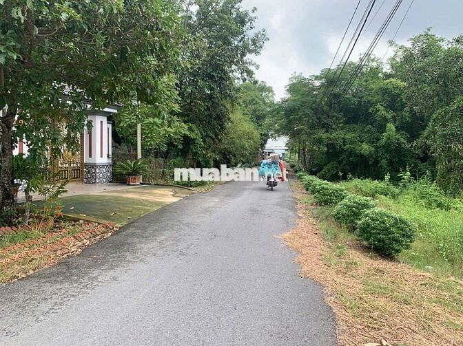 CẦN RA GẤP LÔ ĐẤT THỔ 146m2 XÃ TÂN PHÚ TRUNG - CỦ CHI