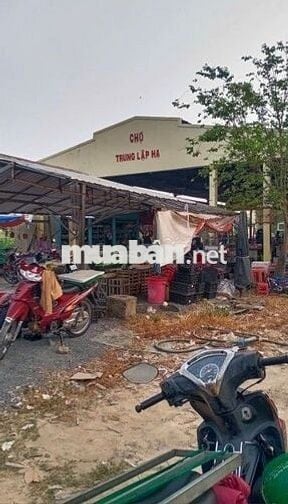 CẦN RA GẤP LÔ ĐẤT THỔ 146m2 XÃ TÂN PHÚ TRUNG - CỦ CHI