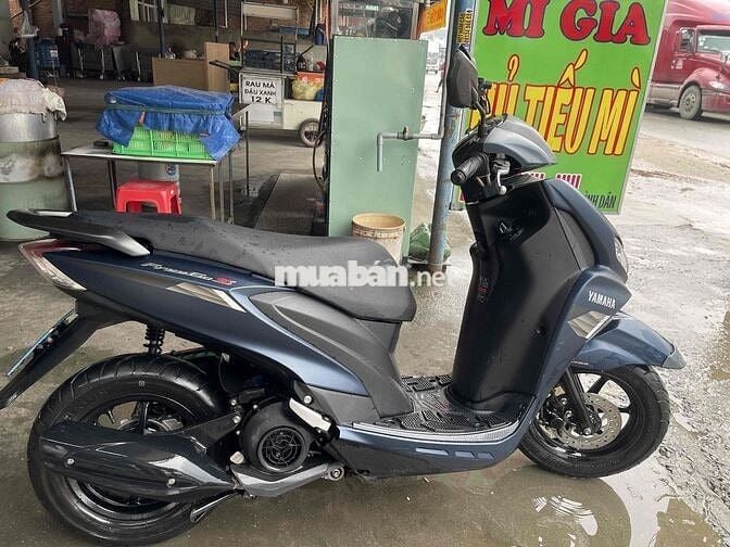 Bán xe nguyên zin, Freego s bản đặc biệt