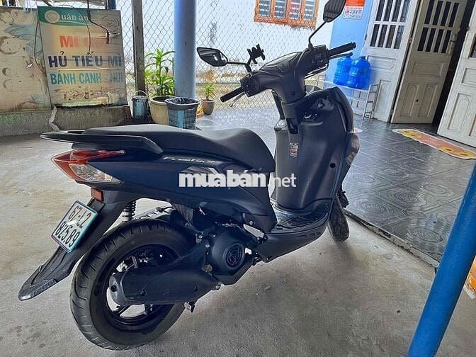 Bán xe nguyên zin, Freego s bản đặc biệt