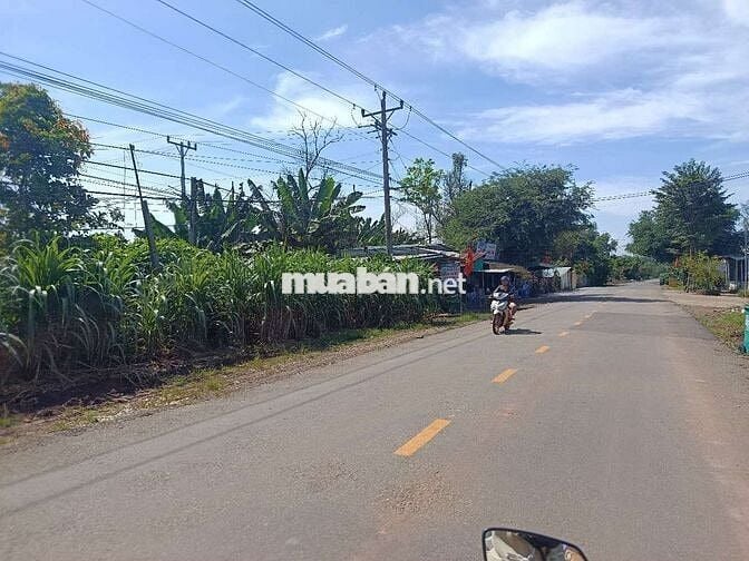 Bán xưởng kinh doanh ngay mặt tiền đường huyện 549m2/750tr có 200 TC