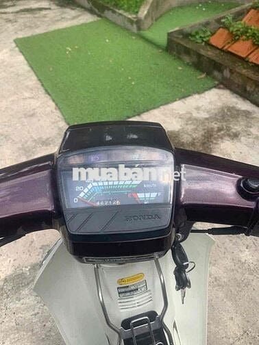 Dream 2 zin ko lai đồ ngoài