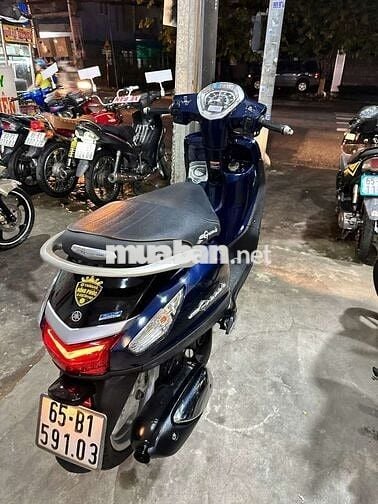 Grande Fi ( e có bán góp )