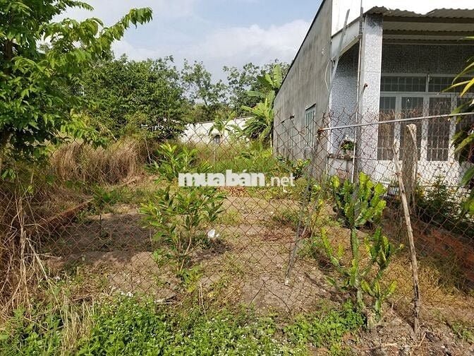 Đất nền 5x31 tc100m2 đường bàn cờ