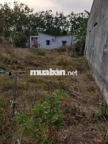 Đất nền 5x31 tc100m2 đường bàn cờ