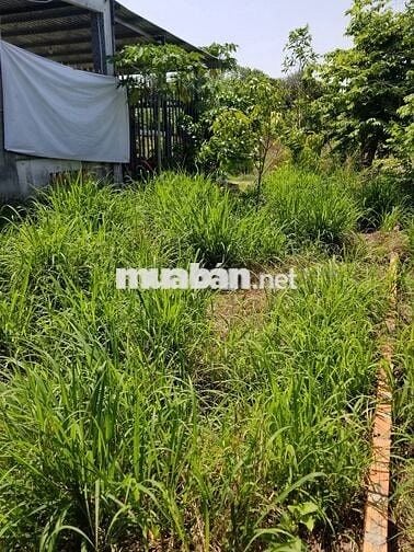 Đất nền 5x31 tc100m2 đường bàn cờ