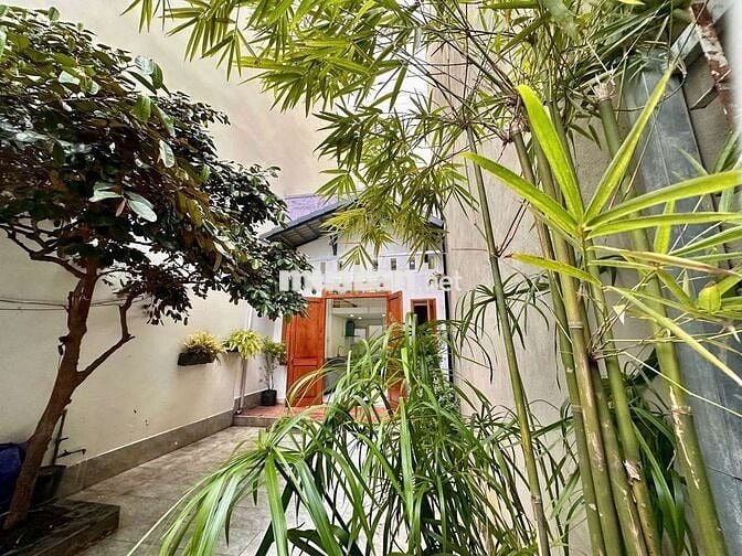 🌿 Nhà Sân Vườn Chill Bình Thạnh – Full Nội Thất,Ở Ngay,Kinh Doanh Tốt